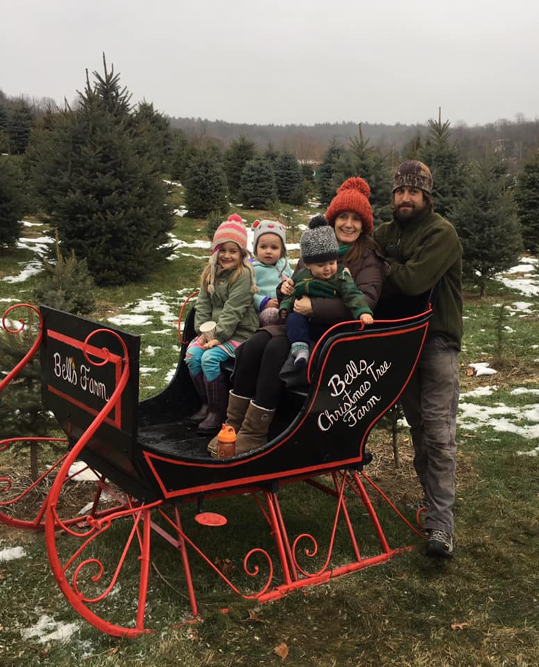 Christmas Tree Time Again Catskill Forest Association