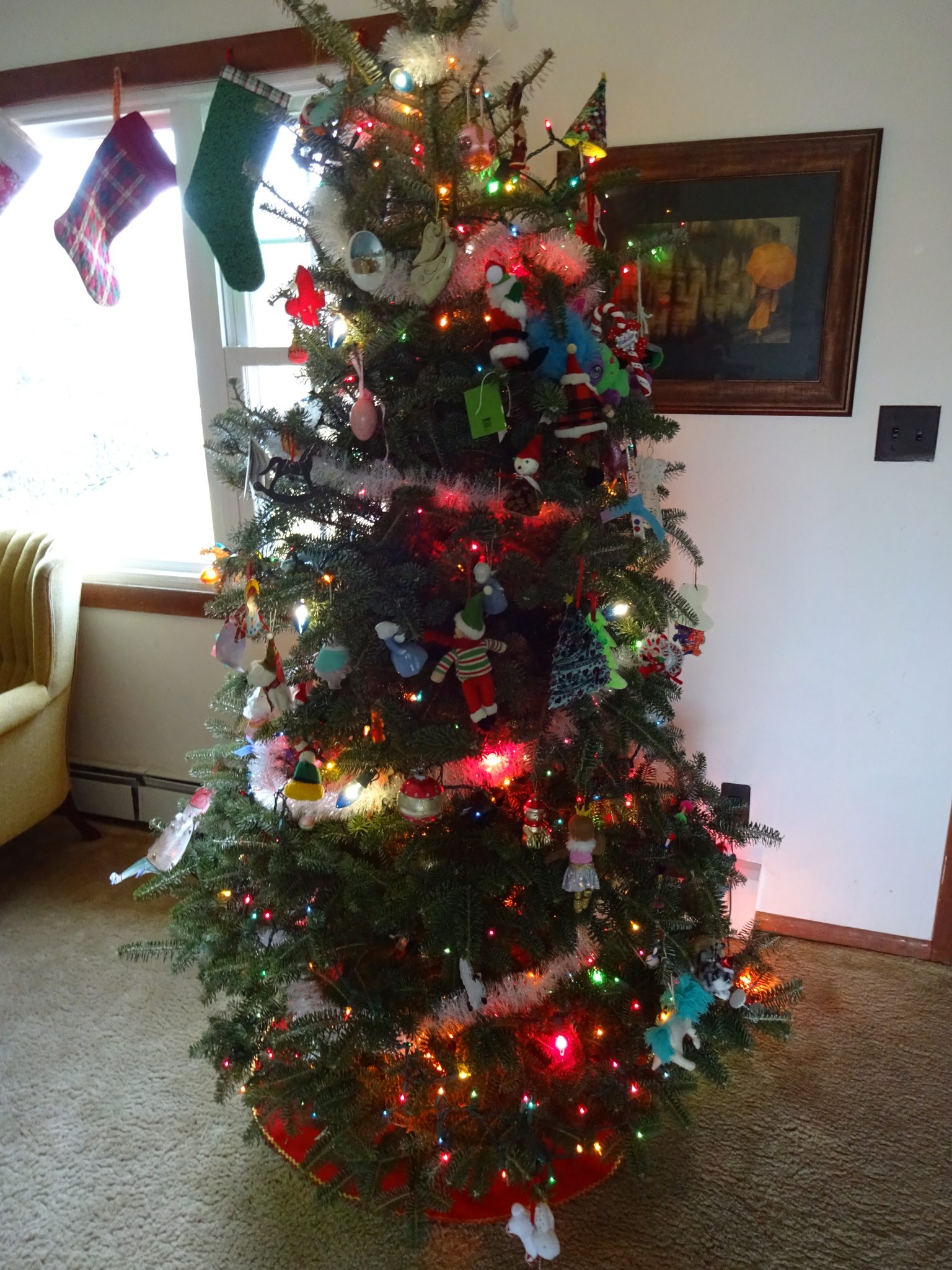 2020 Christmas Tree Time Catskill Forest Association