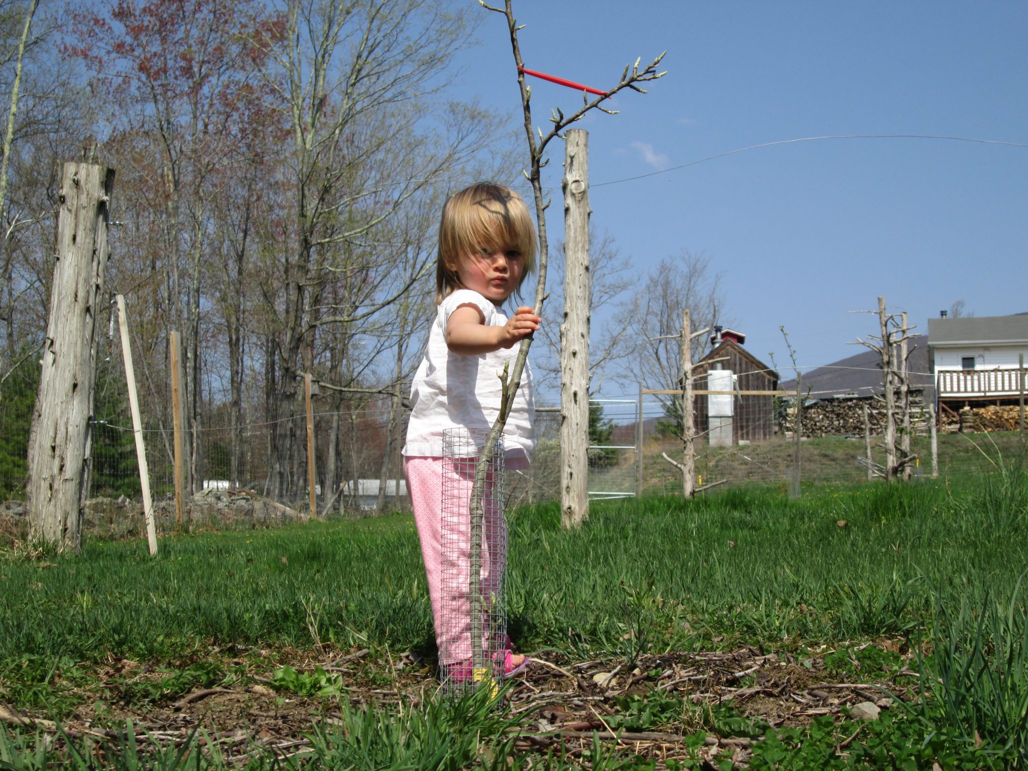 How to Hang A Pinata without A Tree