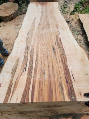 live edge maple slab with tap holes
