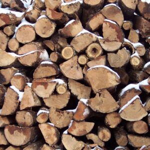 processing your own firewood