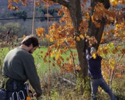 John drills a small hook into the trunk of the tree. The wire from the feeder runs down from the canopy to this point, making it easy to move the feeder up and down on the pulley system.