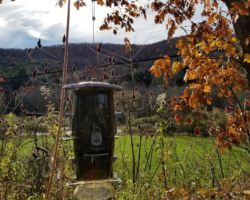 The feeder of choice is attached to the wire and ready to be hauled up into the canopy